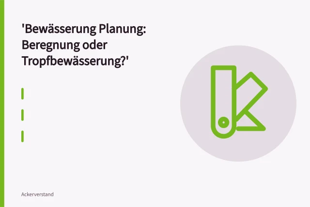 Tropfschläuche bewässern Gemüsereihen punktuell am Wurzelraum. Bewässerung Planung: Beregnung oder Tropfbewässerung?