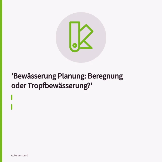 Tropfschläuche bewässern Gemüsereihen punktuell am Wurzelraum. Bewässerung Planung: Beregnung oder Tropfbewässerung?