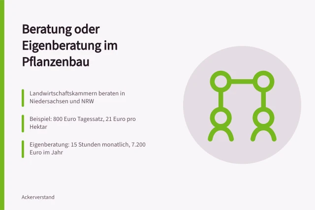 Vergleich von externer Pflanzenbau-Beratung und Eigenberatung mit Kosten und Zeitaufwand. Pflanzenbau Beratung oder Eigenberatung: Was lohnt sich?