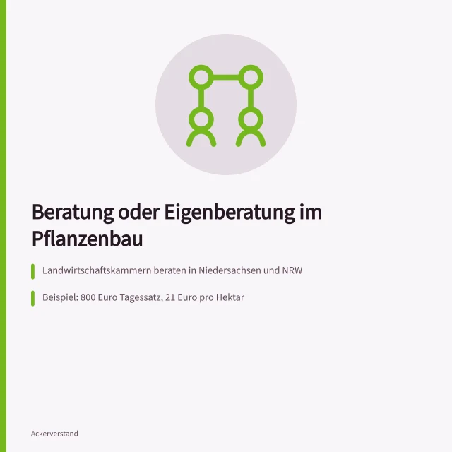 Vergleich von externer Pflanzenbau-Beratung und Eigenberatung mit Kosten und Zeitaufwand. Pflanzenbau Beratung oder Eigenberatung: Was lohnt sich?